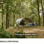 Volný čas